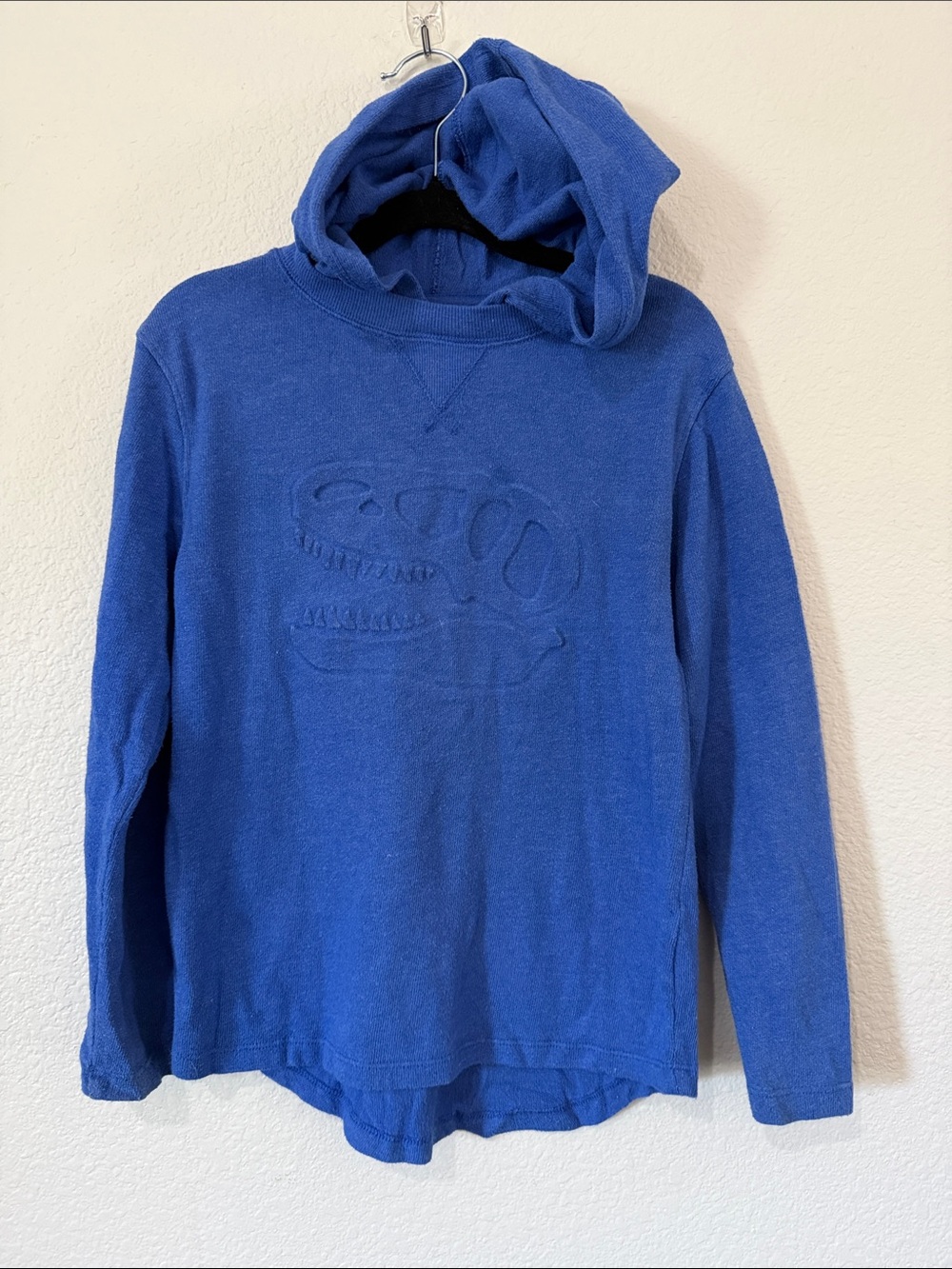 Cat & Jack Kids Blue Hooded Long-Sleeve Top